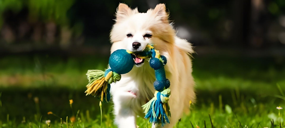 Picture of Top Vacuums for Pet Dander Removal and Allergy Relief in Your Home ...