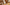 Can Robot Vacuums Be Used for Pet Hair Removal? - Narwal Robotics