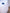 Is Narwal One of the Best Self-Vacuuming Robots in the Market? - Narwal Robotics
