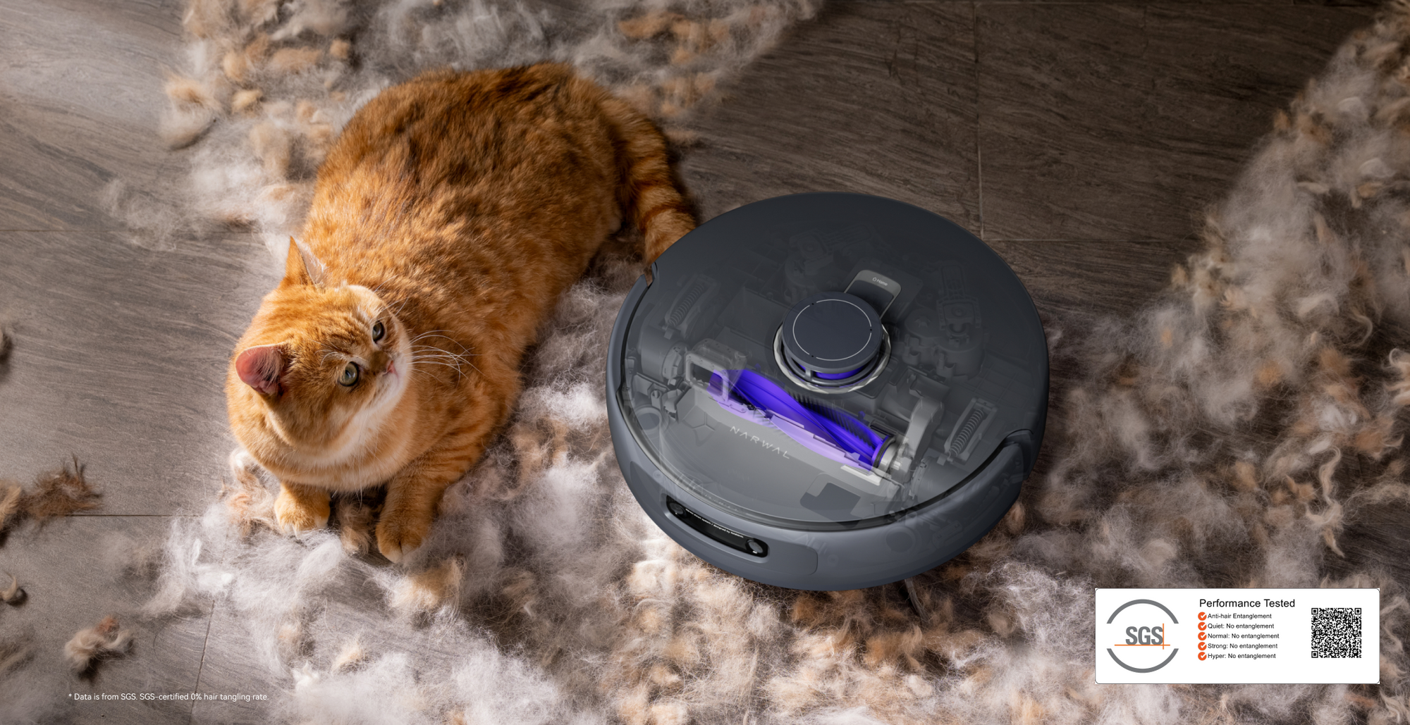 Narwal robot vacuum cleaning pet hair with a cat nearby.