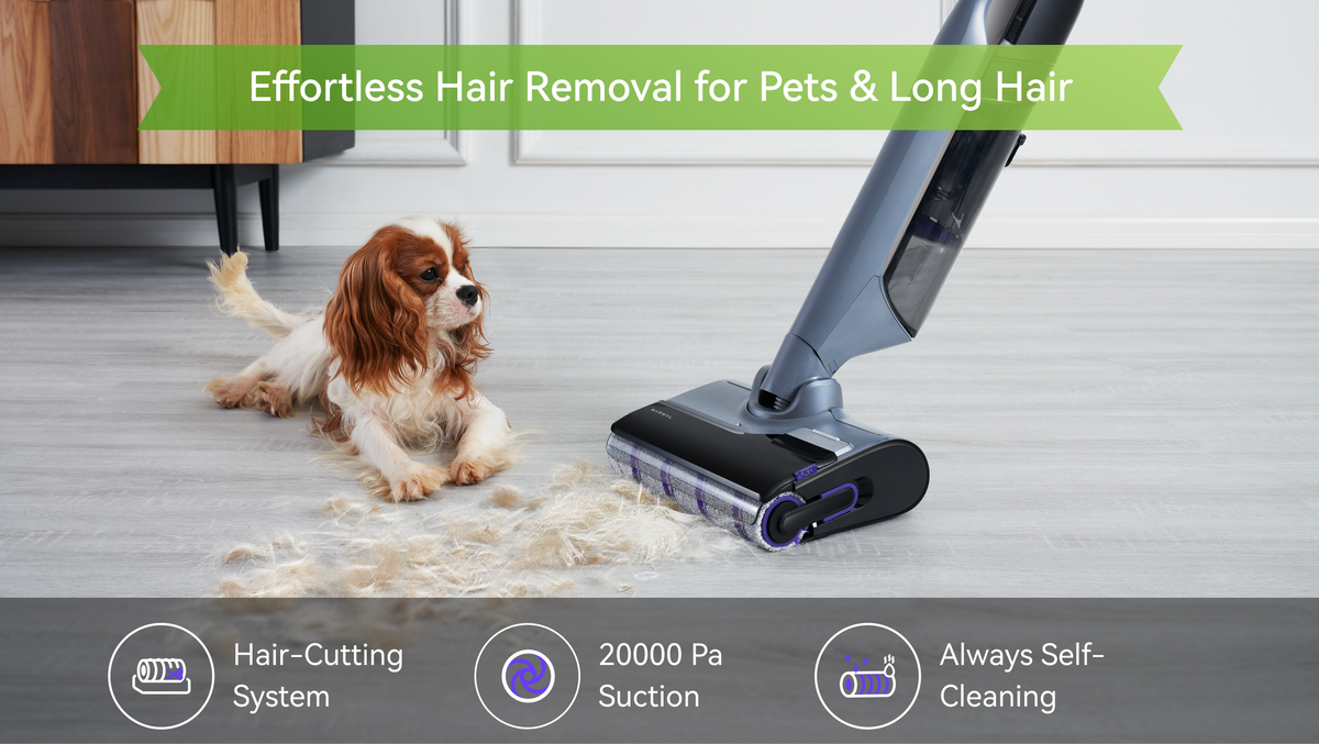 Scene image for desktop