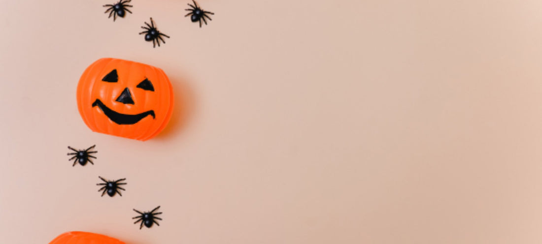 Does vacuum cleaner kill spider without a bag?