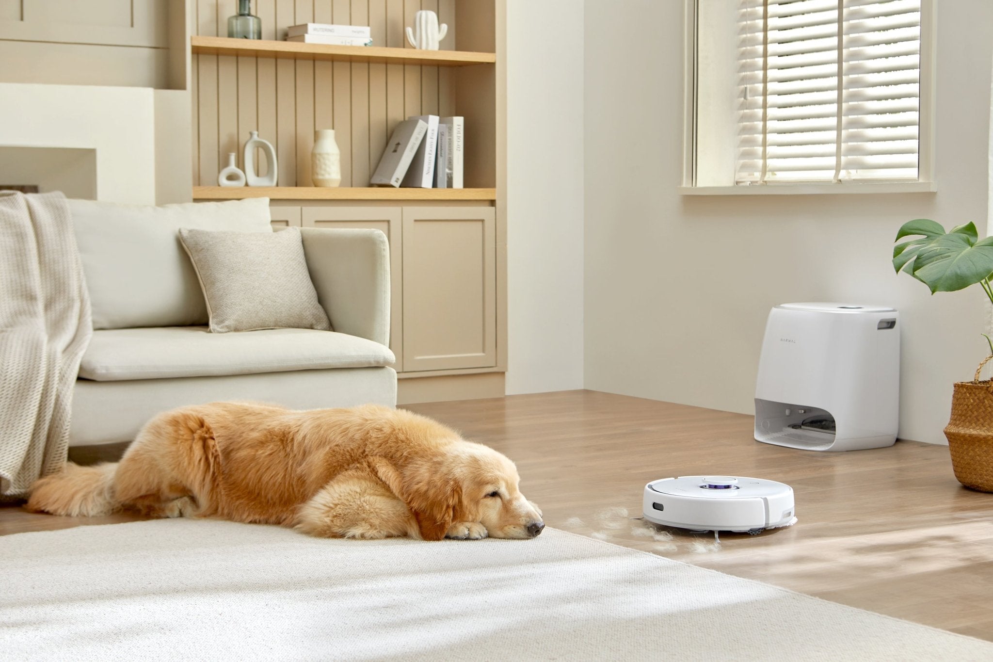 Clean Efficiently With the Narwal Robot Vacuum - Narwal Robotics