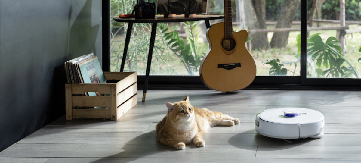 Can You Vacuum Cat Litter: The Ultimate Guide for Pet Owners