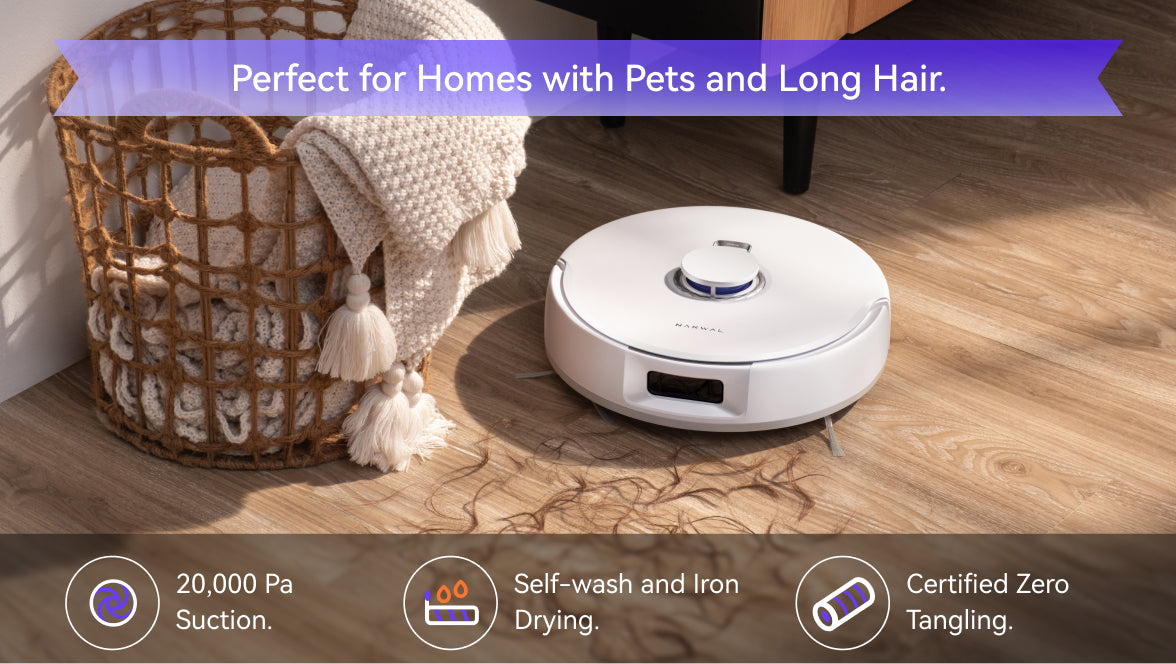 Scene image for desktop