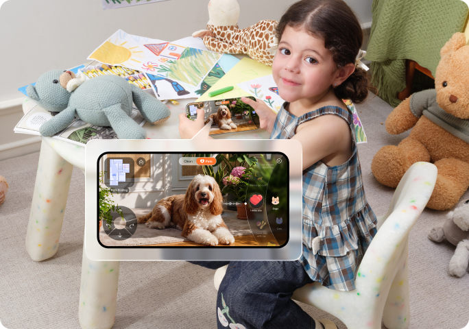 Real-time pet finder