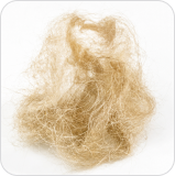 Pet hair
