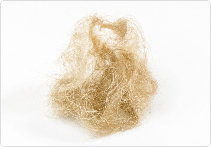 Pet hair