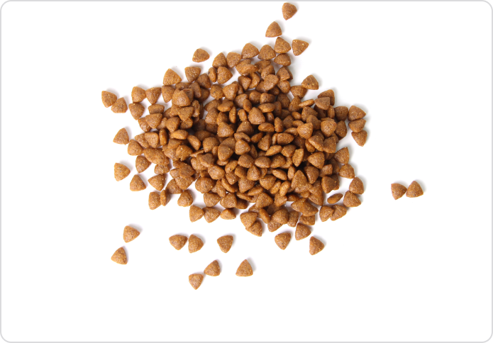 Cat & dog food