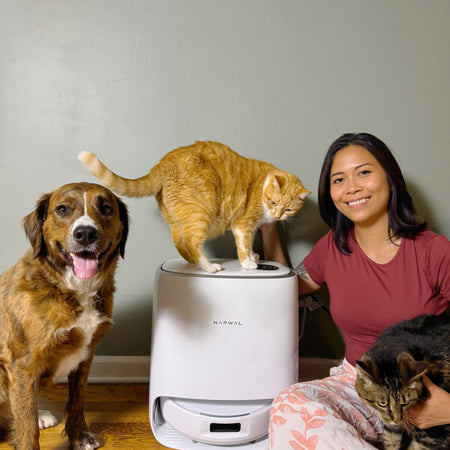 ax4_098796d1-6d1b-4397-a84b-719626a3792e