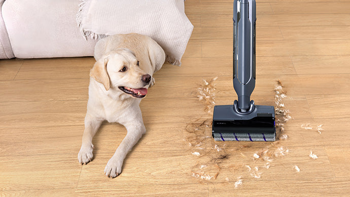 Narwal S20 Pro cordless vacuum mop cleaning pet hair and debris from the floor, with a relaxed dog nearby.