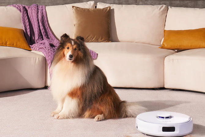 narwal-milestones-2023_8ffc7080-08b2-4db5-971b-f68739742817